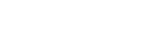 Binary Gecko